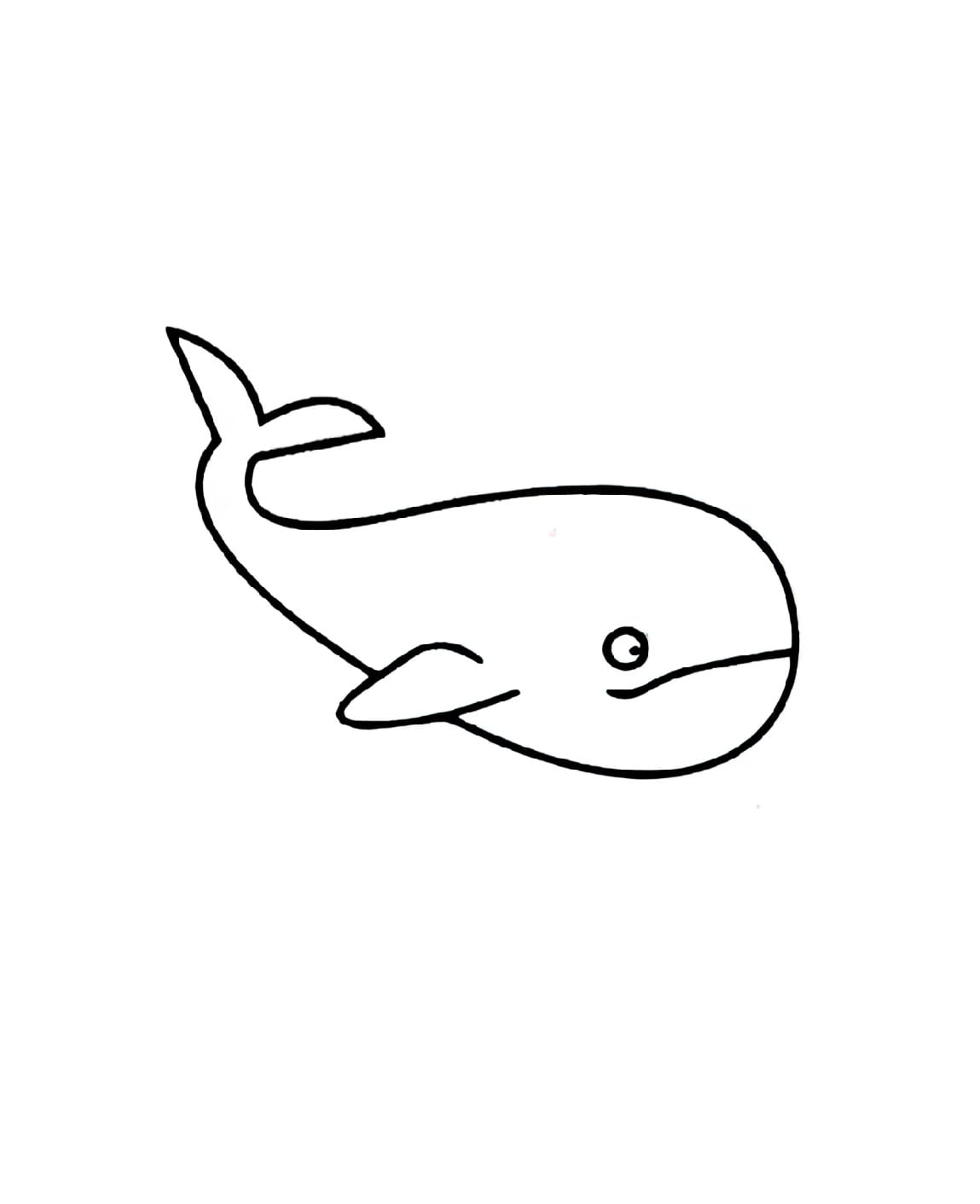 beak skimming whale coloring pictures