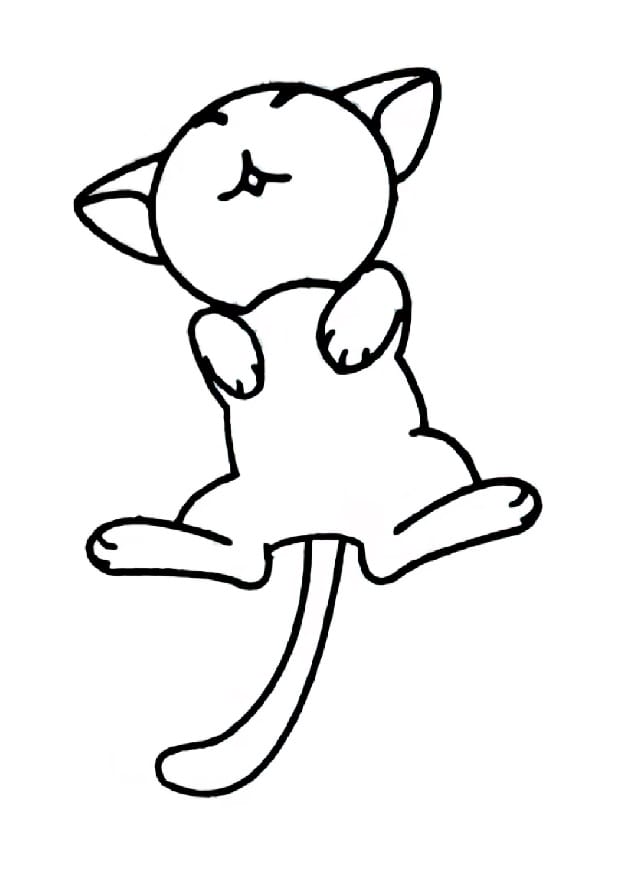 comfortable cat coloring pictures