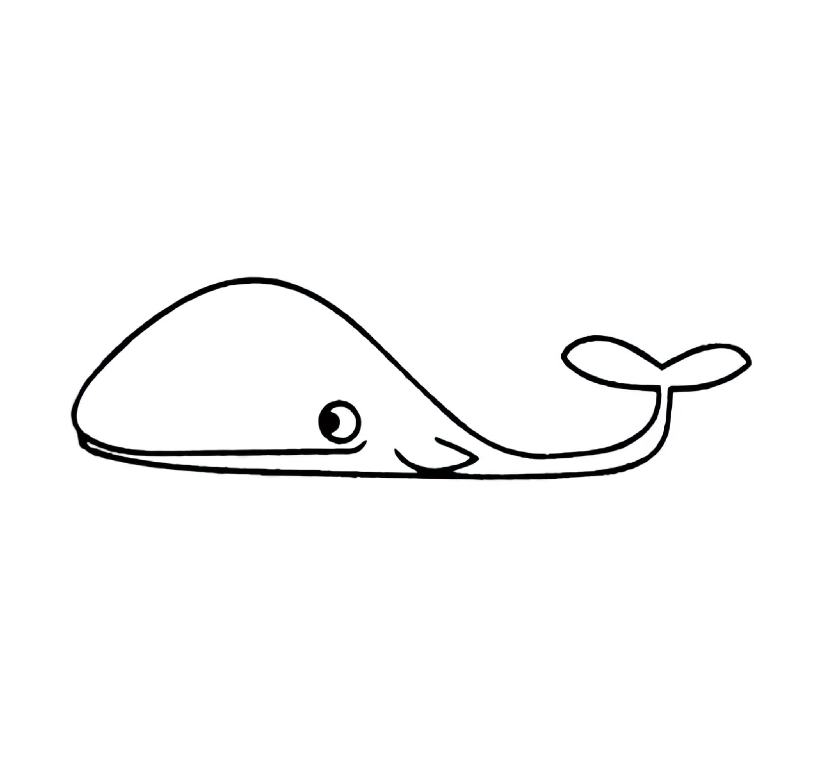 dazed whale coloring pictures