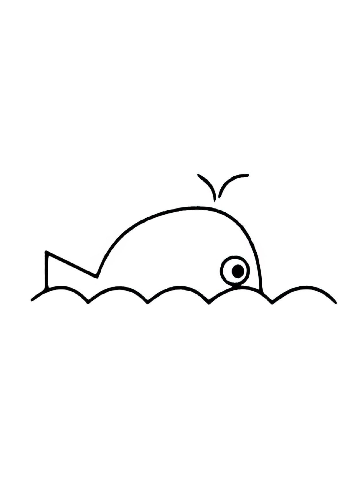 heads up whale coloring pictures