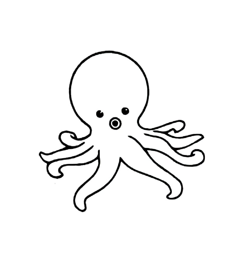 octopus ready to attack coloring pictures