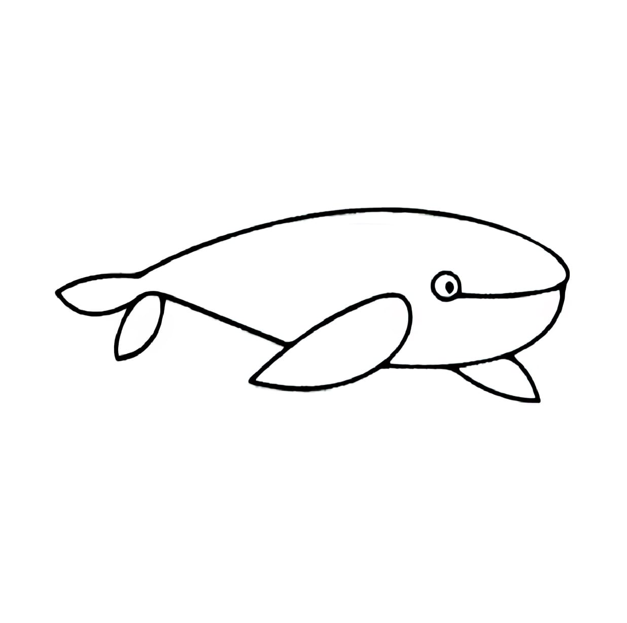swimming whales coloring pictures
