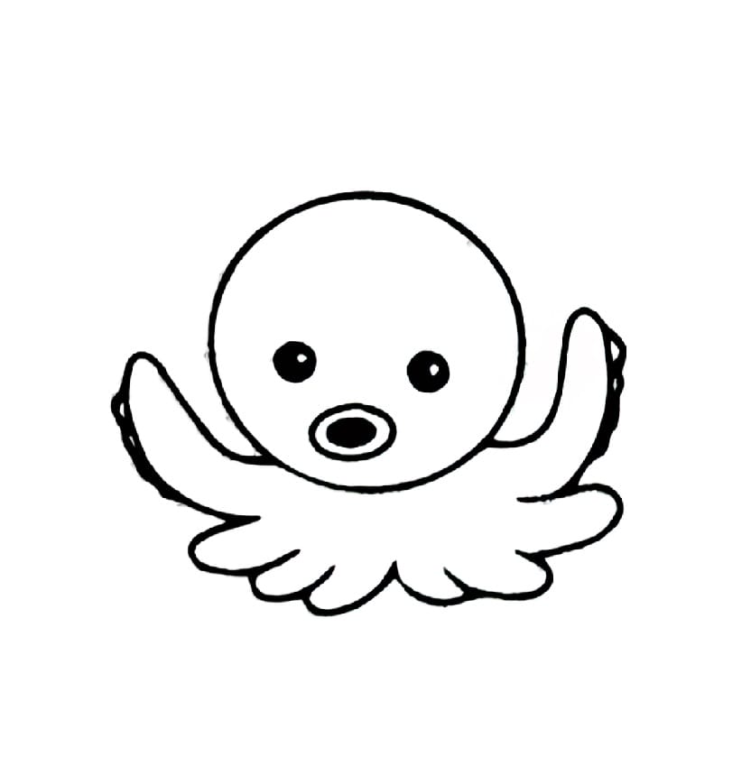 the baby octopus that wants to take off coloring pictures