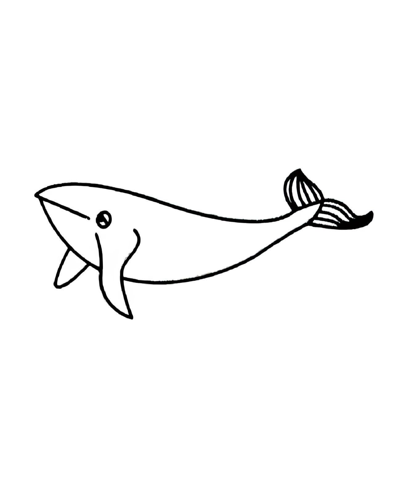 whale coloring pictures